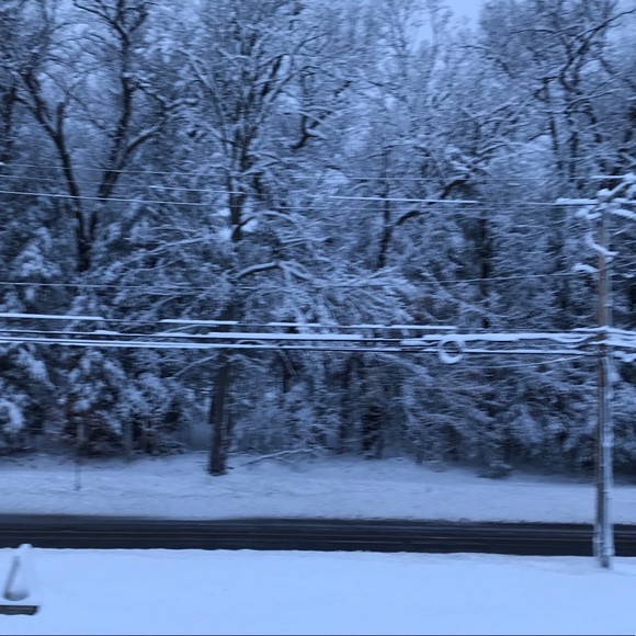 Meet your Posher, Drayson - Picture 1 of 1